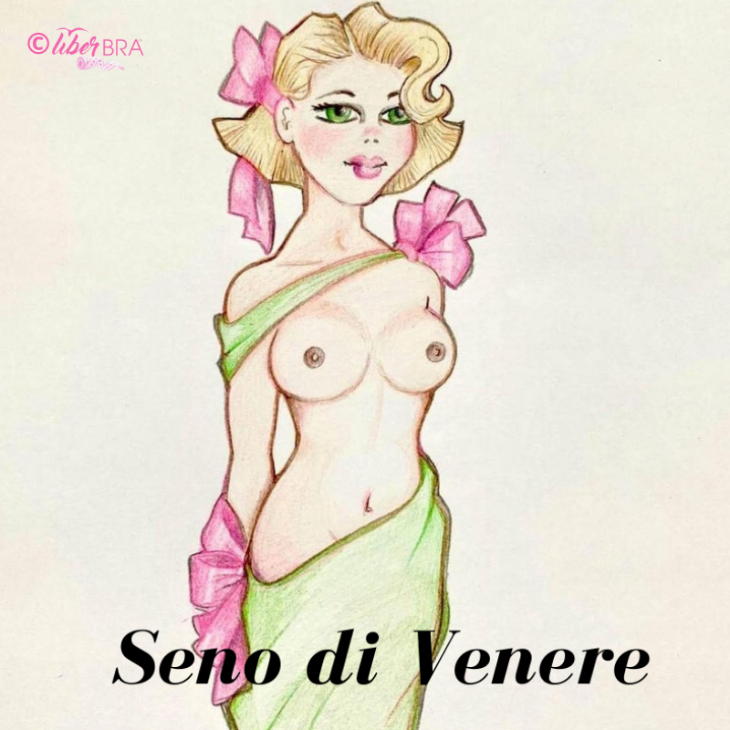 Seno rotondo