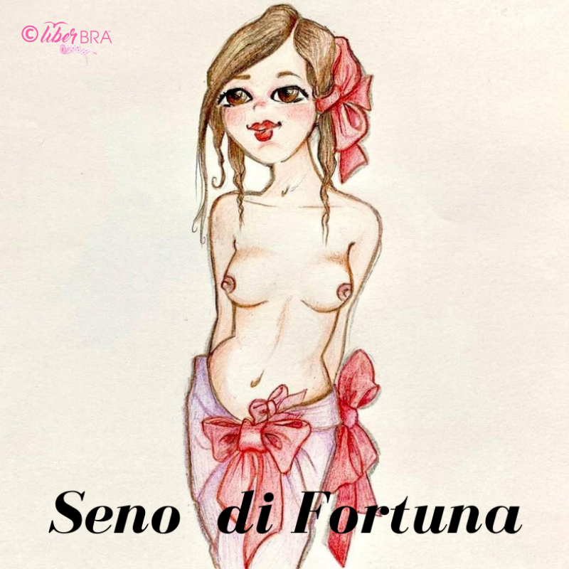 Tipologia di seno - seno di fortuna