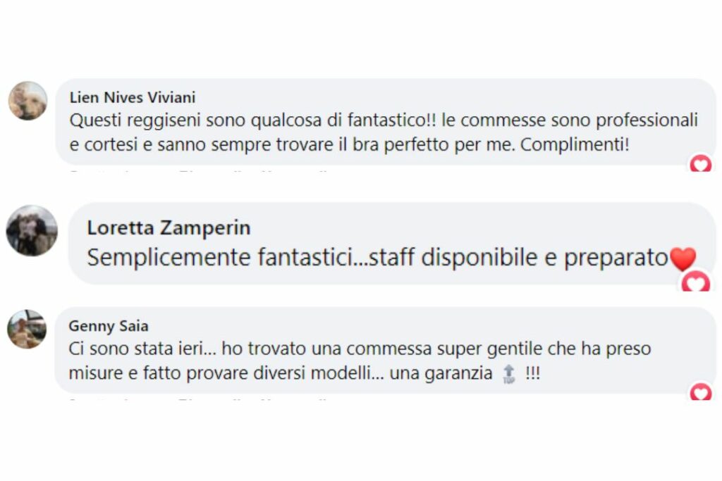 Recensione-Lien-Nives-Viviani