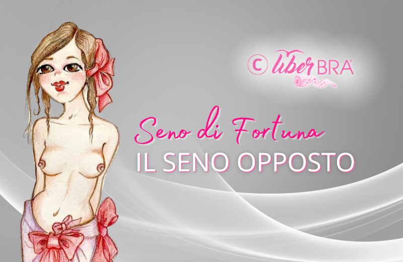Il seno opposto