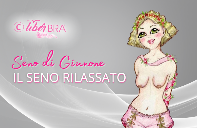 Seno rilassato