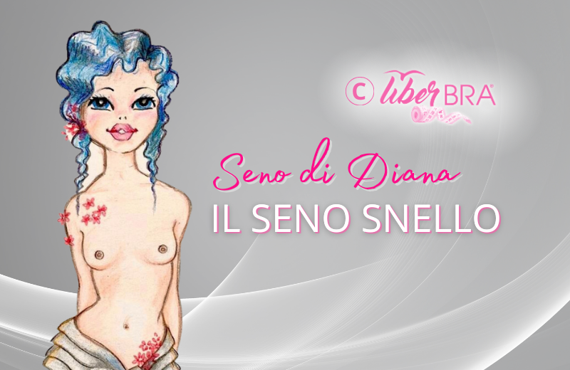 Seno snello